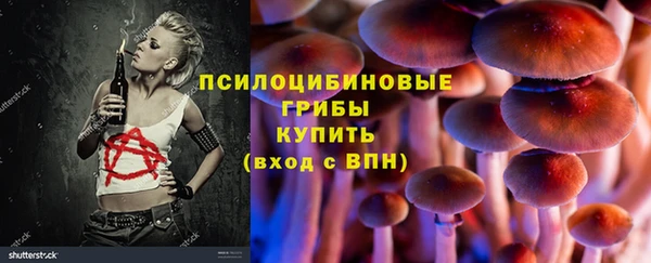 герыч Алексин
