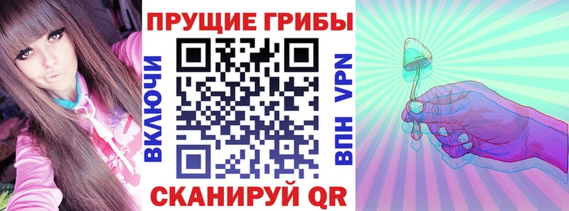 Галлюциногенные грибы Cubensis  ОМГ ОМГ ТОР  Ржев 